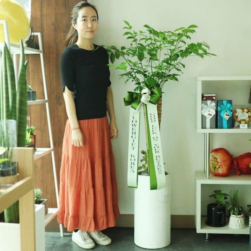HAPPY TREE GIFT